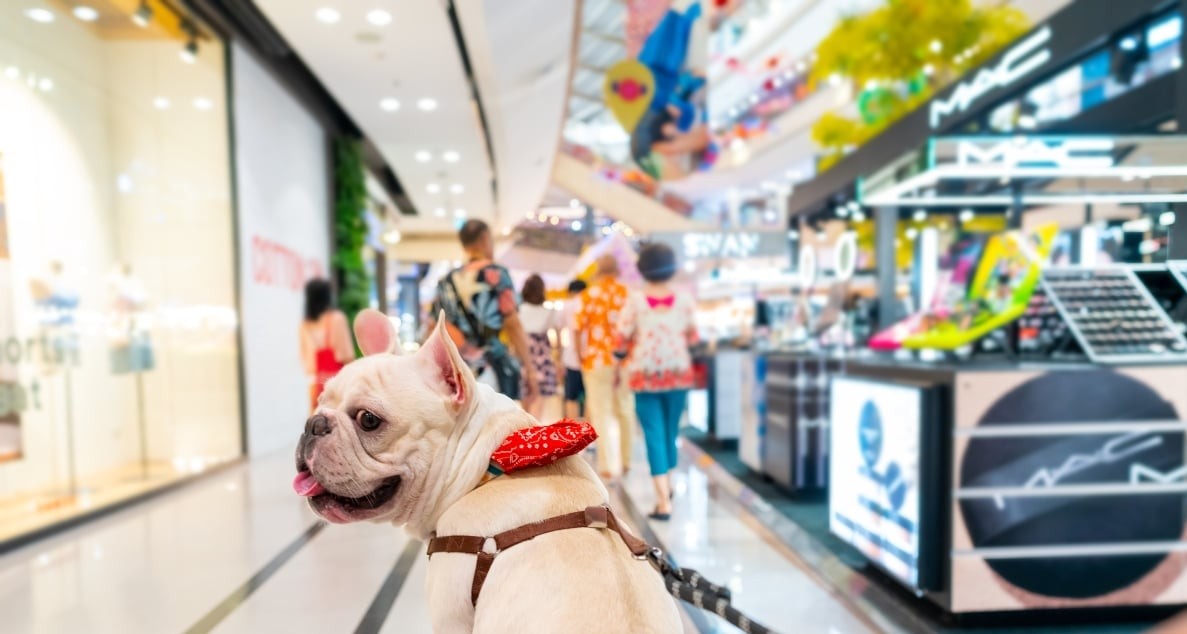 ¿Cómo los centros comerciales buscan atraer a los pet lovers?